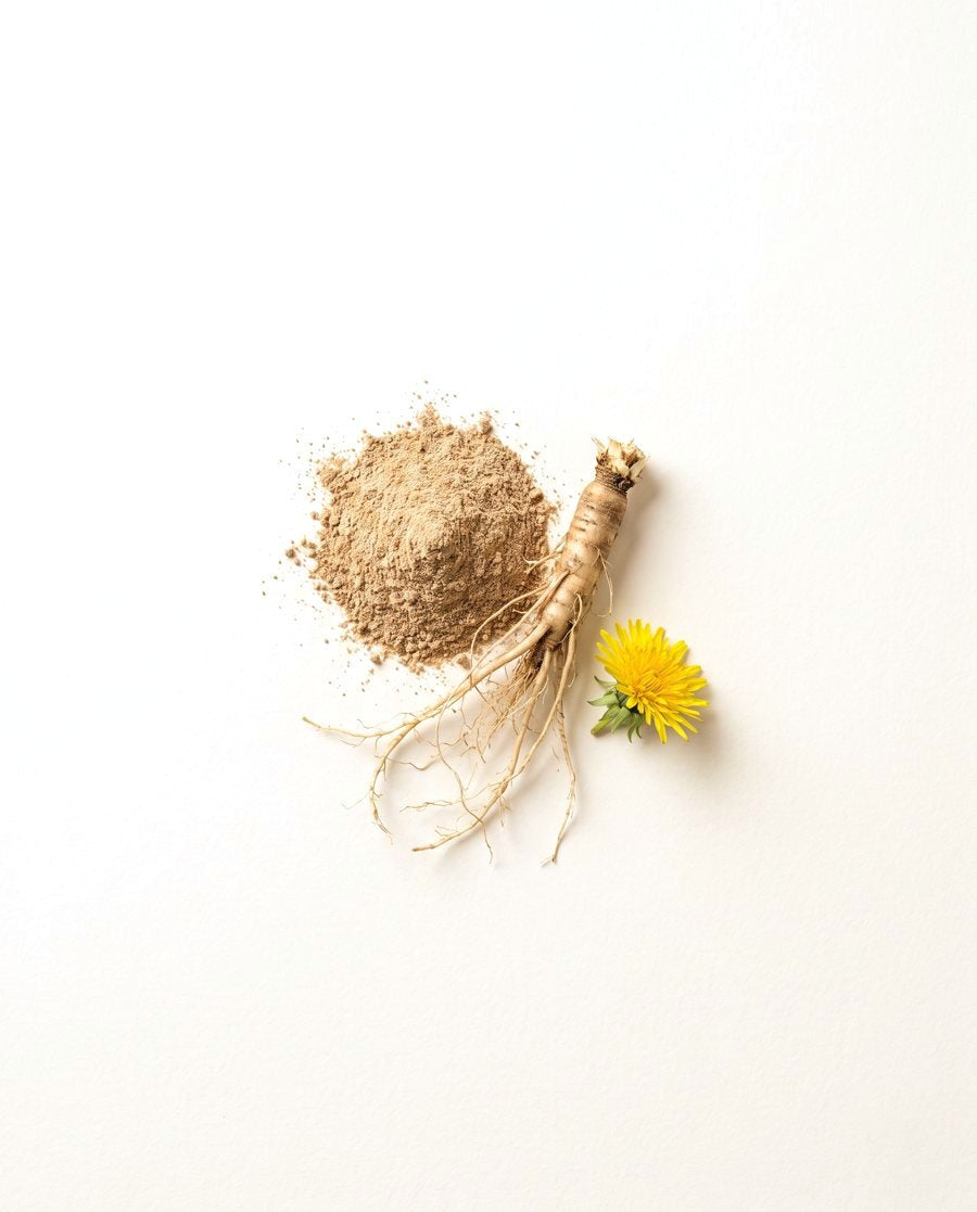 Dandelion root with its powder
